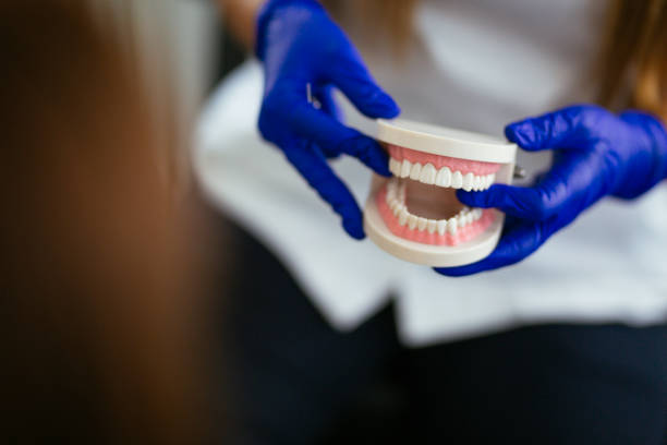 Haines, AK Dental Services Company